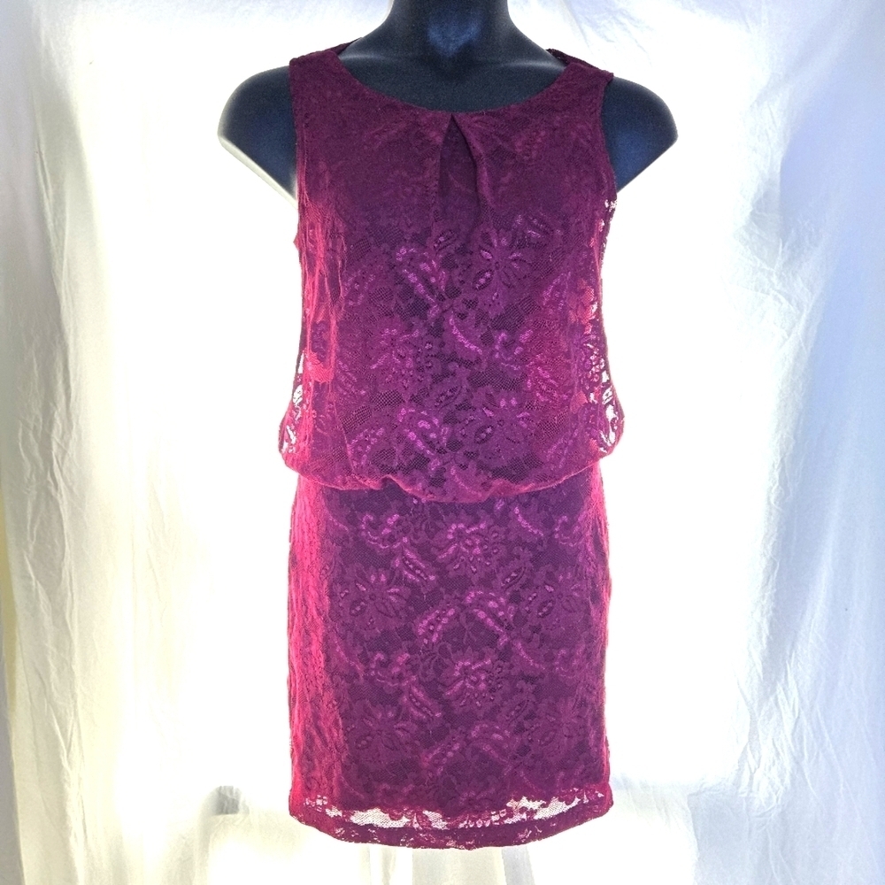 Lovely Lace Dress EUC